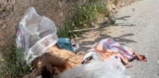 I componenti della Polizia Municipale di Messina…, sono alla ricerca di indizi, stalle e telecamere pubbliche e private anche grazie all’utilizzo delle registrazioni degli impianti di videosorveglianza della zona… per risalire ai responsabili di un gesto, indegno di una società civile… accaduto nelle scorse ore