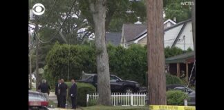 Su di lui esistono serie, libri e anche un film, Lost girls, ragazze perdute. Negli anni lo hanno chiamato in vari modi – Lisk, Long Island serial killer, Gilgo killer, Craigslist ripper – cercato dappertutto, raccontato fino a farlo diventare uno degli autori di cold case più noti degli Stati Uniti