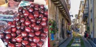 Sta per arrivare la più significativa “Sagra della Ciliegia” che si effettuerà nel comprensorio di Catania e dell’Etna e che si attesta alla sua 13esima Edizione