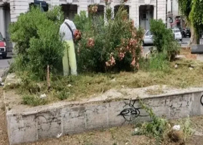 SCERBATURA E VIABILITA' MESSINA