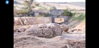 “Sono appena stato informato che a Selinunte è stata scoperta una struttura lunga 15 metri, a poca distanza da quella che doveva essere la darsena collegata al mare: potrebbe essere uno dei due porti dell’antica ex colonia di Megara iblea”