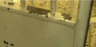 Patrick Zaki “è stato condannato a tre anni”: lo ha reso noto uno dei quattro legali dell’attivista al termine dell’udienza a Mansura, in Egitto