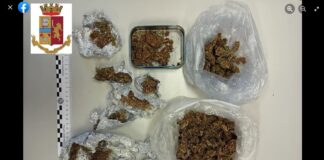 Ennesimo blitz antidroga conclusosi con l’arresto di un pregiudicato alcamese di 61 anni per detenzione ai fini di spaccio di marijuana occultata all’interno dell’abitazione allestite come punto di spaccio