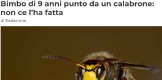 Una vacanza in un agriturismo sulle colline di Costa Vescovato, provincia di Alessandria, in Piemonte, ha avuto un epilogo tragico per una famiglia tedesca
