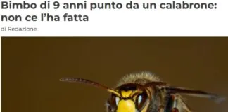 Una vacanza in un agriturismo sulle colline di Costa Vescovato, provincia di Alessandria, in Piemonte, ha avuto un epilogo tragico per una famiglia tedesca