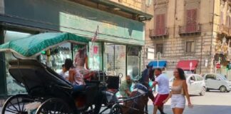 Ancora un incidente ad un cavallo che stramazza sull’asfalto sfiancato dalla fatica con carrozza al seguito nel centro di Palermo: da qualche tempo questi mezzi di trasporto sono finiti nell’occhio del ciclone per i rischi a cui vengono esposti gli animali con le alte temperature