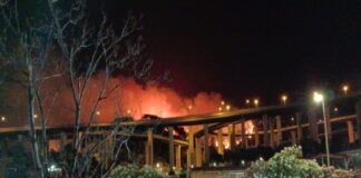 Il sindaco Federico Basile unitamente all’assessore alla Protezione civile Massimiliano Minutoli, rende noto che gli uffici comunali competenti stanno avviando le prime ricognizioni dei danni registratisi in Città, a seguito degli incendi dello scorso 24 luglio