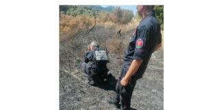 Nel corso della mattinata, i Carabinieri della Compagnia di Barcellona Pozzo di Gotto hanno effettuato, su delega della Procura di Barcellona Pozzo di Gotto, diversi sopralluoghi tecnici nell’area boschiva e montana nella parte più alta della città del Longano, precisamente in località Femminamorta ove, il 25 Luglio scorso, si è verificato un vasto incendio boschivo che, oltre a lambire i ripetitori di telefonia mobile, ha anche messo in serio pericolo le abitazioni circostanti
