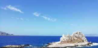 Nuovi ritrovamenti archeologici nel mare di Levanzo (Trapani), sito della battaglia delle Egadi: la campagna di ricerche che si sta svolgendo in questi giorni ha consentito il recupero di due rostri in bronzo denominati “Egadi 26” e “Egadi 27”