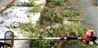 Da domani, giovedì 17, sino a mercoledì 30 agosto, nella fascia oraria 20-6, saranno effettuati interventi di scerbatura nei seguenti tratti di strade: dal 17 al 23 agosto, vie Romeo, degli Angeli e Faranda, salita Tirone, piazza Santa Barbara, viale Cadorna e via Cannizzaro, da via XXIV Maggio a viale Principe Umberto; dal 23 al 30 agosto, nei quadrilateri compresi tra le vie d’Amato, Freri e Bottone, e tra le vie d’Amato, Catania, Freri e Bottone