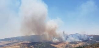 «L’aumento della dotazione del Fondo del ministero dedicato a turisti e operatori danneggiati dagli incendi è sicuramente un intervento importante che denota l’attenzione da parte del governo nazionale e del ministro Santanchè nei confronti della Sicilia»