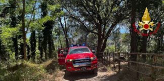 Durante la mattinata di oggi 04 agosto 2023, personale del Comando provinciale VVF di Messina, a bordo dei mezzi in dotazione è intervenuto presso i colli San Rizzo per soccorrere un ciclista infortunato