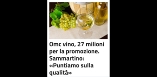 Al via due bandi per complessivi 27 milioni di euro destinati alla promozione del vino siciliano nei mercati extra Ue e alla qualificazione della viticoltura e dell’enologia. Sono stati pubblicati dall’assessorato regionale dell’Agricoltura nell’ambito dei finanziamenti dell’Organizzazione comune del mercato vitivinicolo (Ocm vino)
