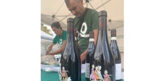 Domenica 17 settembre si celebra la XVI Giornata Nazionale Sla per sensibilizzare sul significato di vivere con la Sla e sull’importanza di essere una comunità inclusiva e solidale