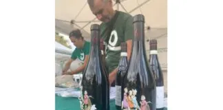 Domenica 17 settembre si celebra la XVI Giornata Nazionale Sla per sensibilizzare sul significato di vivere con la Sla e sull’importanza di essere una comunità inclusiva e solidale