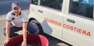 Nella giornata odierna, grazie alla pronta segnalazione di alcuni bagnanti, i militari della Guardia Costiera di Messina sono intervenuti con successo per salvare una tartaruga marina della specie “Caretta Caretta”