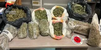 Nei giorni scorsi, i Carabinieri della Stazione di Catona, nel corso di un servizio di controllo del territorio finalizzato alla prevenzione e repressione di reati inerenti gli stupefacenti, hanno arrestato in flagranza di reato, un cittadino italiano con l’accusa di detenzione ai fini di spaccio di sostanze stupefacenti