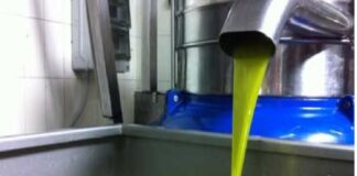 Oltre 12 milioni di euro per l’ammodernamento dei frantoi oleari: questa l’entità del finanziamento, con fondi del Pnrr, previsto dal bando pubblicato sul sito del dipartimento regionale dell’Agricoltura