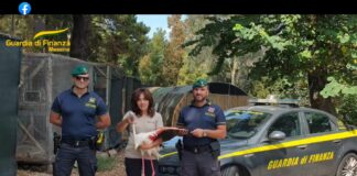 Una squadra di Finanzieri del Comando Provinciale di Messina ha compiuto un gesto di grande umanità e sensibilità ambientale quando ha individuato e soccorso un esemplare adulto di fenicottero rosa ferito e in evidente difficoltà nei pressi dei suggestivi laghi di Ganzirri