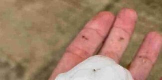 Una violenta grandinata si è abbattuta su San Biagio Platani, nell’agrigentino