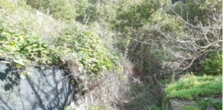 A Roccavaldina, nel Messinese, la messa in sicurezza del centro abitato di San Salvatore è un traguardo che, dopo un’attesa ventennale, è sempre più vicino