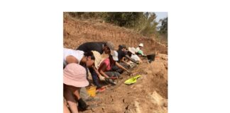 Si conclude oggi la quarta campagna di scavi archeologici a Laino Borgo, in loc. Santa Gada, a cura del Dipartimento di Civiltà Antiche e Moderne dell’Università degli studi di Messina, sotto la direzione scientifica del prof. Fabrizio Mollo