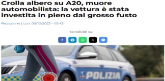 Un automobilista è morto in seguito al crollo di un albero sulla sua auto lungo l’autostrada A20 nel Palermitano, tra gli svincoli di Campofelice di Roccella e Cefalù