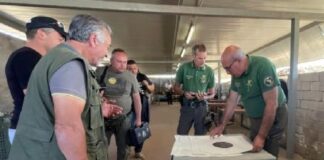 Sono 570 i “coadiutori” al controllo numerico dei cinghiali formati e abilitati dalla Regione Siciliana, attraverso i corsi promossi dal dipartimento dello Sviluppo rurale