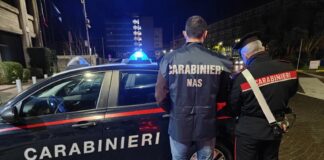 Due attività commerciali sequestrate e ben otto tonnellate di alimenti tolti dal commercio oltre a sanzioni amministrative per oltre 9mila euro: sono il bilancio di alcuni controlli dei Nas di Catania…, in alcuni esercizi commerciali del settore della ristorazione