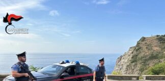 I Carabinieri della Compagnia di Palmi hanno attuato lo scorso fine settimana una serie di controlli prolungati, coordinati ed estesi su tutto il territorio, costiero e aspromontano