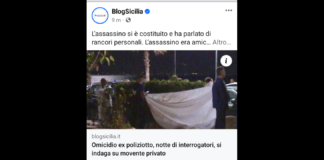 Secondo i carabinieri ci sarebbero rancori personali alla base dell’omicidio dell’ex poliziotto avvenuto ieri pomeriggio a Furci Siculo, sul litorale ionico del Messinese: l’uomo ucciso con colpi di fucile alla testa Giuseppe Catania, 63 anni, ex agente della squadra mobile di Messina, ora in pensione era conosciuto da tutti in paese