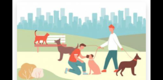 Manifestazione di interesse a partecipare alla procedura finalizzata alla stipula di apposite convenzione con Guardie Zoofile per lo svolgimento di attività di vigilanza nel controllo del territorio comunale di Messina