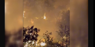 Nella Provincia tirrenica messinese, il fuoco che ha colpito vari Comuni lo scorso 20 ottobre 2023 tra i quali Villafranca Tirrena, a Calvaruso, Sant’Agata di Militello, Tortorici, Capo d’Orlando, Gioiosa Marea, Merì e Milazzo, ha messo a dura prova i territori e gli abitanti interessati