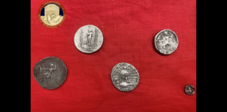 Erano state messe in vendita con un annuncio sul web…, per la somma di 1.500 euro