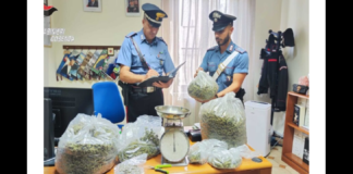 Un uomo di 52 anni è stato arrestato nelle ore scorse, dai carabinieri della Compagnia di Rende nella frazione Contessa di Lattarico, con l’accusa di detenzione ai fini di spaccio di sostanze stupefacenti: era sottoposto agli arresti domiciliari