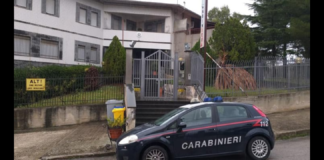 Nel pomeriggio di giovedì scorso, i Carabinieri della Stazione di Piraino, congiuntamente ai militari del Nucleo Operativo e Radiomobile – Sezione Radiomobile della Compagnia di Patti, hanno arrestato – in flagranza di reato – una 24enne romena per furto aggravato