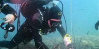 Due antiche ancore in pietra sono state ritrovate nei fondali di San Lorenzo, in provincia di Siracusa: i reperti archeologici, di età arcaica, si trovano a poco distanza l’uno dall’altro, a circa 15 metri di profondità, in prossimità di una secca