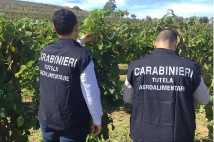 CC MESSINA TUTELA AGROALIMENTARE