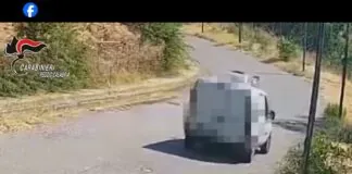 Nell’agosto scorso i Carabinieri di Stilo avevano scoperto due aree destinate a discariche abusive, di cui una in pieno centro abitato e l’altra in Contrada Burrao