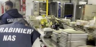 Con l’inizio dell’anno scolastico, il Comando Carabinieri per la Tutela della Salute, d’intesa con il Ministero della Salute, ha realizzato una campagna di controlli a livello nazionale finalizzata, alla verifica dei servizi di ristorazione e delle imprese di catering assegnatari della gestione delle mense presso gli istituti scolastici