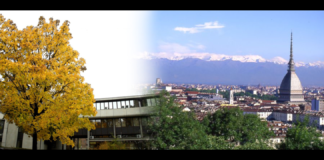 «Non tutte le vittorie hanno lo stesso sapore…, ci sono vittorie amare, quando si è perso tempo prezioso, quando si potevano evitare delle sofferenze: Come è successo a una coppia di fratelli che vivono nel Torinese, che dopo tre anni tra-scorsi divisi tra comunità e famiglie affidatarie (uno dei due bombardato pure di psico-farmaci), finalmente il Tribunale per i minorenni ha deciso non luogo a procedere all’adozione e contestuale affidamento ai nonni materni»