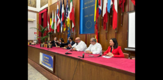 Nasce “Panetto…ME”, un panettone artigianale a lievitazione naturale, arricchito con canditi di arancia e limone, frutto della collaborazione di diversi professionisti messinesi