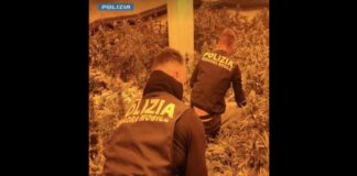 I poliziotti del Commissariato di Pubblica Sicurezza di Niscemi e della Squadra Mobile, nell’ambito dei servizi finalizzati alla repressione del traffico di sostanze stupefacenti, hanno individuato una coltivazione indoor nel pieno centro cittadino di Niscemi