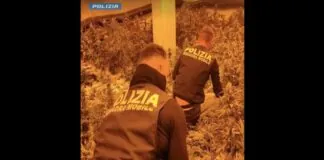 I poliziotti del Commissariato di Pubblica Sicurezza di Niscemi e della Squadra Mobile, nell’ambito dei servizi finalizzati alla repressione del traffico di sostanze stupefacenti, hanno individuato una coltivazione indoor nel pieno centro cittadino di Niscemi