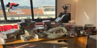 Nei giorni scorsi, nell’ambito delle attività di controllo del territorio e prevenzione dei reati, i Carabinieri della Stazione di Messina Gazzi hanno denunciato una donna di 50 anni residente a Messina