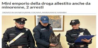 I carabinieri di Gela nelle scorse ore, hanno dato vita ad una perquisizione nel domicilio di un 22enne pregiudicato