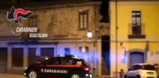 Poderosa campagna di controlli ambientali in tutta la Piana di Gioia Tauro, dove i Carabinieri della locale Compagnia hanno condotto un servizio coordinato mirato alla prevenzione dell’ecosistema locale, in concomitanza con il periodo di molitura delle olive e produzione dell’olio