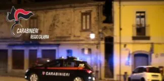Poderosa campagna di controlli ambientali in tutta la Piana di Gioia Tauro, dove i Carabinieri della locale Compagnia hanno condotto un servizio coordinato mirato alla prevenzione dell’ecosistema locale, in concomitanza con il periodo di molitura delle olive e produzione dell’olio