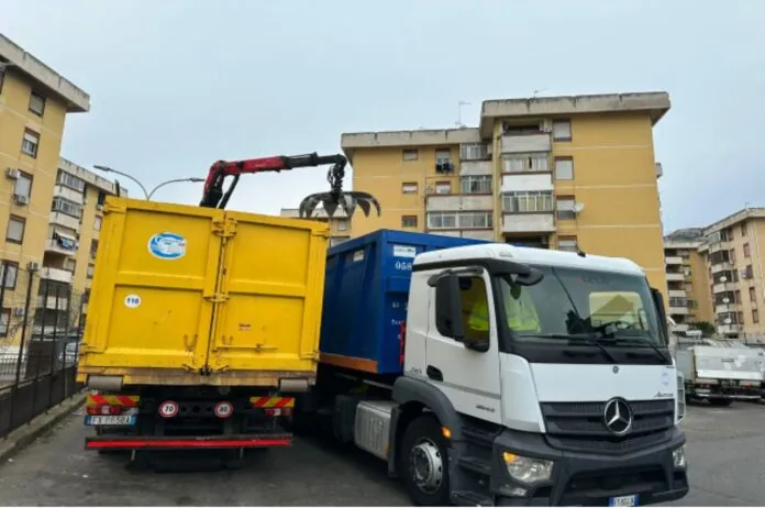 RIMOZIONE CATASTE DI LEGNA MESSINA