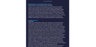 È stato finalmente pubblicato il Saggio “Femminicidio e Narcisismo Patologico: quale correlazione e come prevenire relazioni pericolose” che si può leggere gratuitamente online o del quale si può scaricare il pdf gratis (vedi i link a seguire), scritto a più mani da diversi professionisti del settore e da Donne che raccontano le loro esperienze, vissute direttamente o che le hanno viste testimoni, di relazioni pericolose e drammatiche con soggetti Narcisisti Patologici